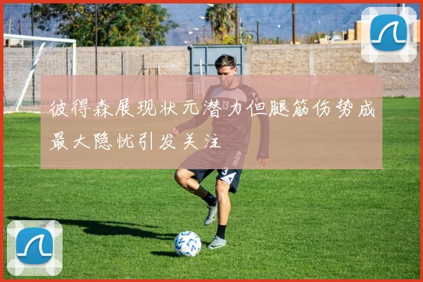 彼得森展现状元潜力但腿筋伤势成最大隐忧引发关注