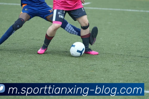 天行体育服务体系