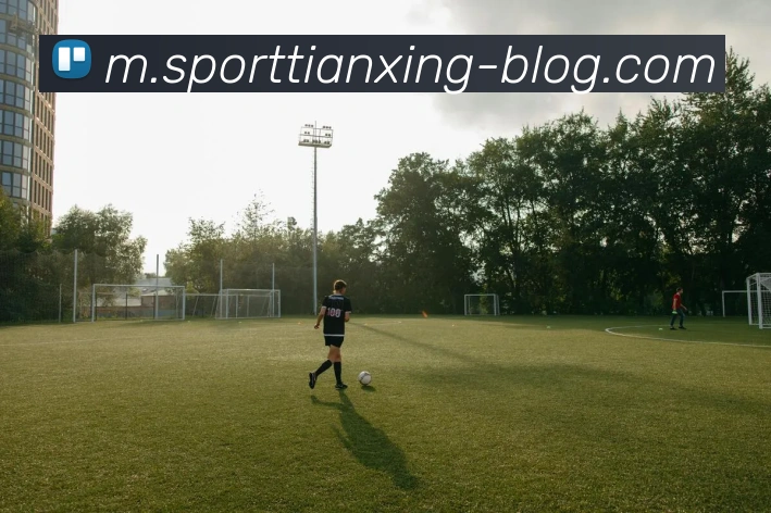 奖项证书